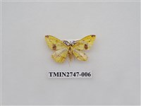 藏品(尺蛾309)的圖片